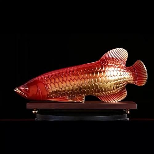 金龍魚怎么擺