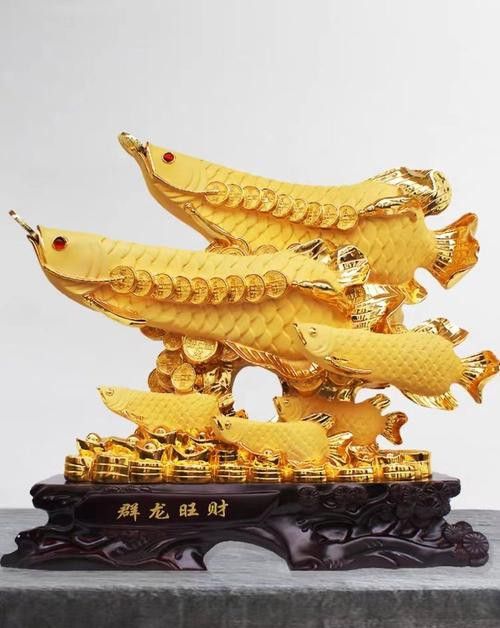 金龍魚怎么擺