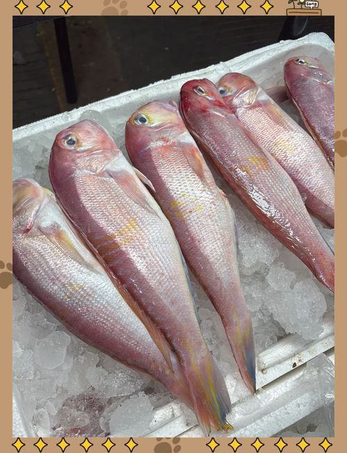 馬來西亞市場常見魚類圖片