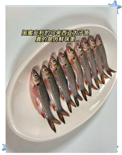 馬來西亞市場常見魚類圖片