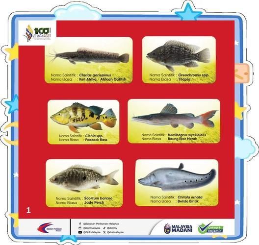 馬來西亞市場常見魚類圖片