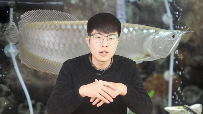 龍魚眼蒙：龍魚眼蒙怎么辦