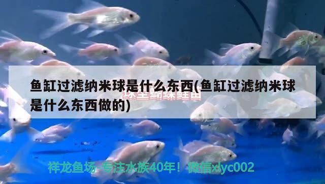魚缸過濾納米球是什么東西(魚缸過濾納米球是什么東西做的) 魚缸過濾納米球是什么東西(魚缸過濾納米球是什么東西做的) 龍魚百科