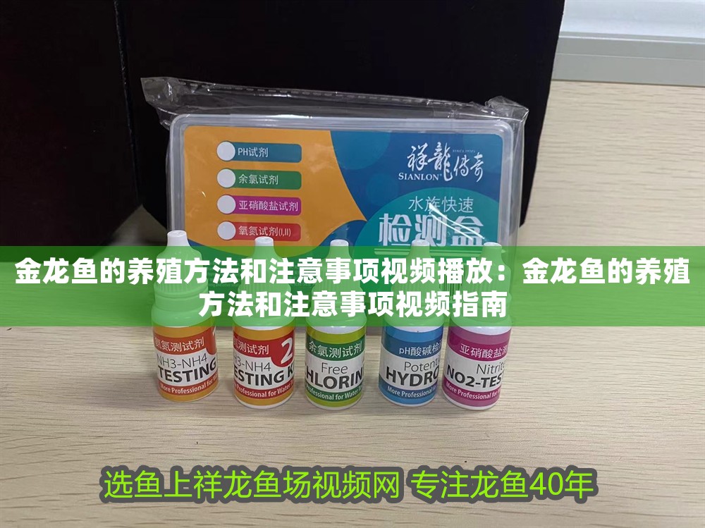 金龍魚的養殖方法和注意事項視頻播放：金龍魚的養殖方法和注意事項視頻指南
