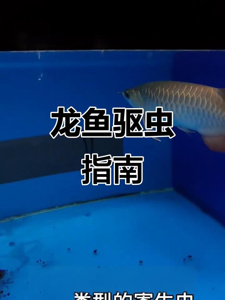 紅龍魚感染寄生蟲能自愈嗎？