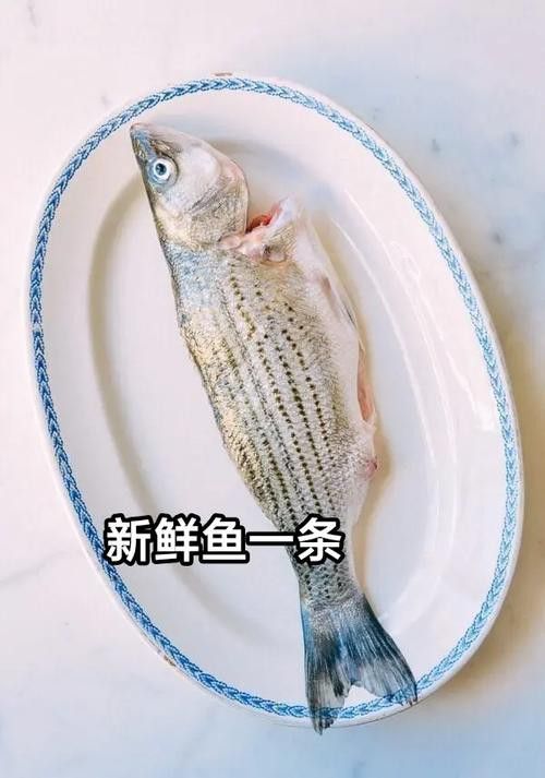 清蒸雪龍魚的做法大全圖解