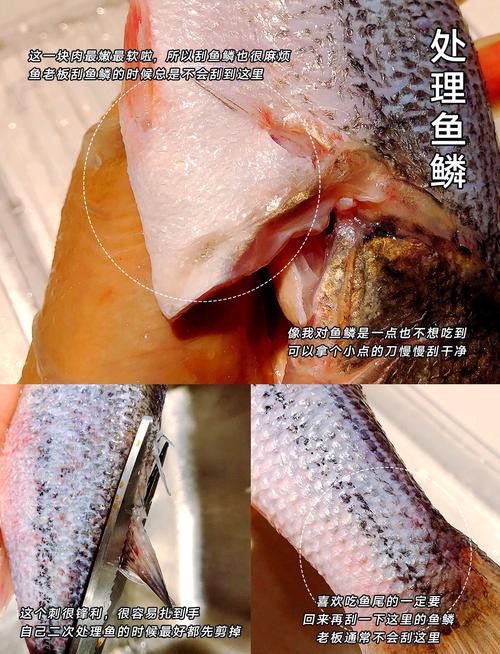 清蒸雪龍魚的做法大全圖解