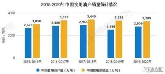 魚缸能用幾年不漏水嗎（如何正確維護魚缸延長壽命） 魚缸能用幾年不漏水嗎（如何正確維護魚缸延長壽命） 龍魚百科