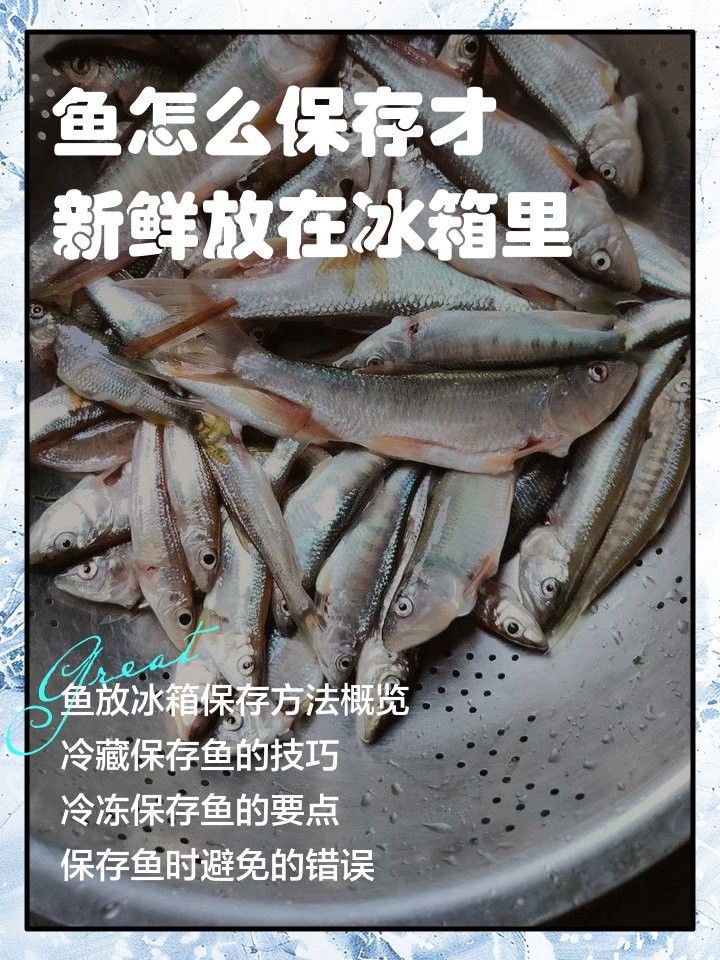如何保存福龍魚以保持其新鮮度？ 如何保存福龍魚以保持其新鮮度？ 龍魚百科 第5張