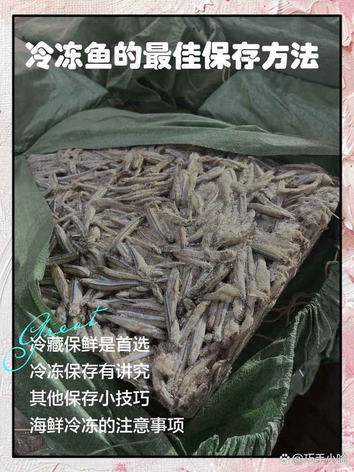 如何保存福龍魚以保持其新鮮度？ 如何保存福龍魚以保持其新鮮度？ 龍魚百科 第7張