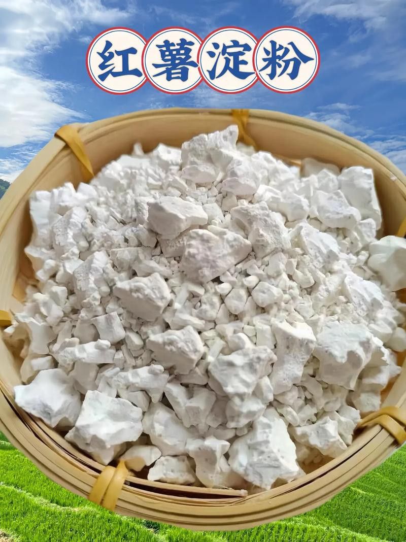 有沒有金龍魚地瓜粉的 有沒有金龍魚地瓜粉的 龍魚百科 第4張