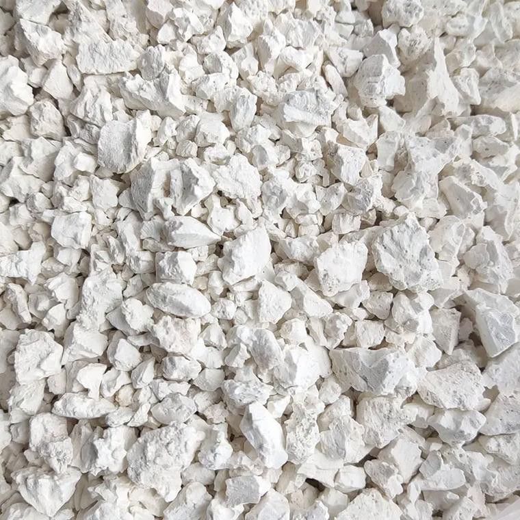 有沒有金龍魚地瓜粉的 有沒有金龍魚地瓜粉的 龍魚百科 第3張