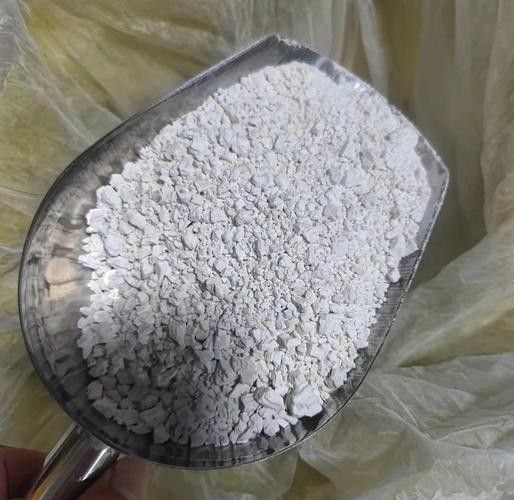 有沒有金龍魚地瓜粉的 有沒有金龍魚地瓜粉的 龍魚百科 第2張