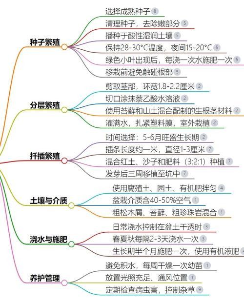 龍血樹如何養護？