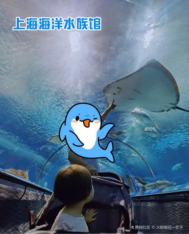陸家嘴海洋水族館門票價格