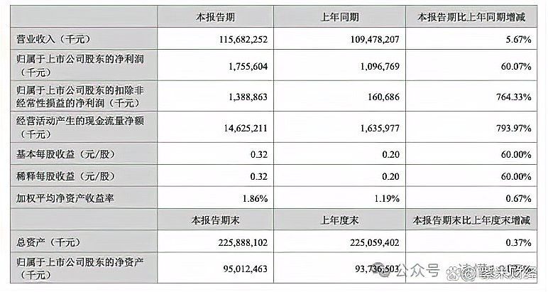 金龍魚總董事長
