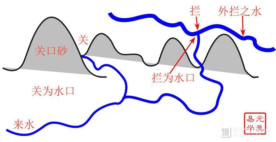 虎魚能和龍魚一起養嗎圖片視頻