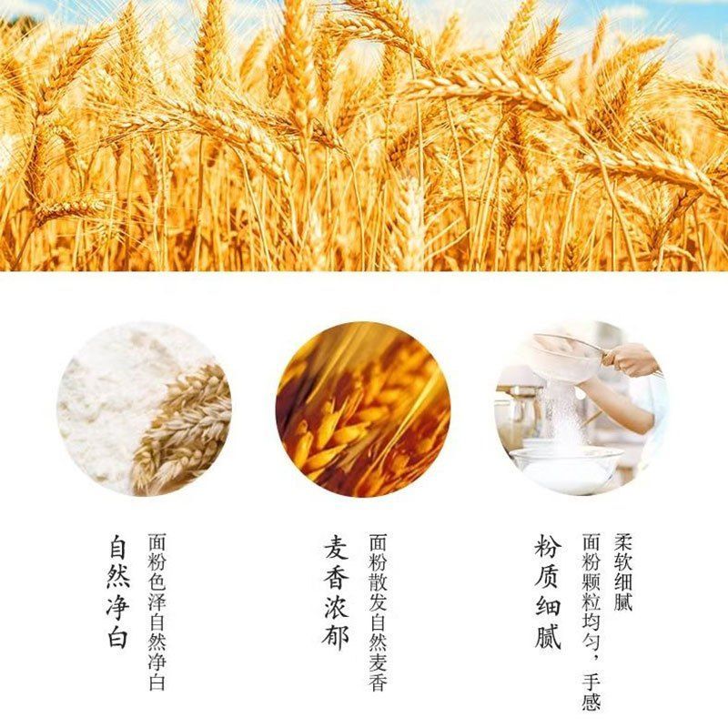 金龍魚白色顆粒【金龍魚出現白色顆粒是怎么回事】