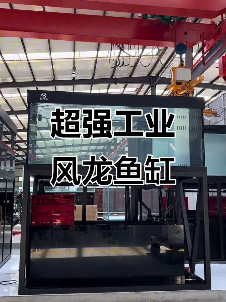 龍魚魚缸需要哪些設備？ 龍魚魚缸需要哪些設備？ 龍魚百科 第6張