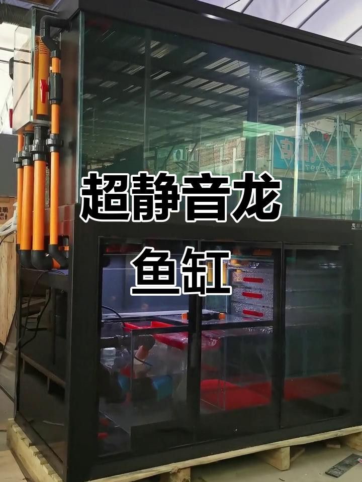 龍魚魚缸需要哪些設備？ 龍魚魚缸需要哪些設備？ 龍魚百科 第8張