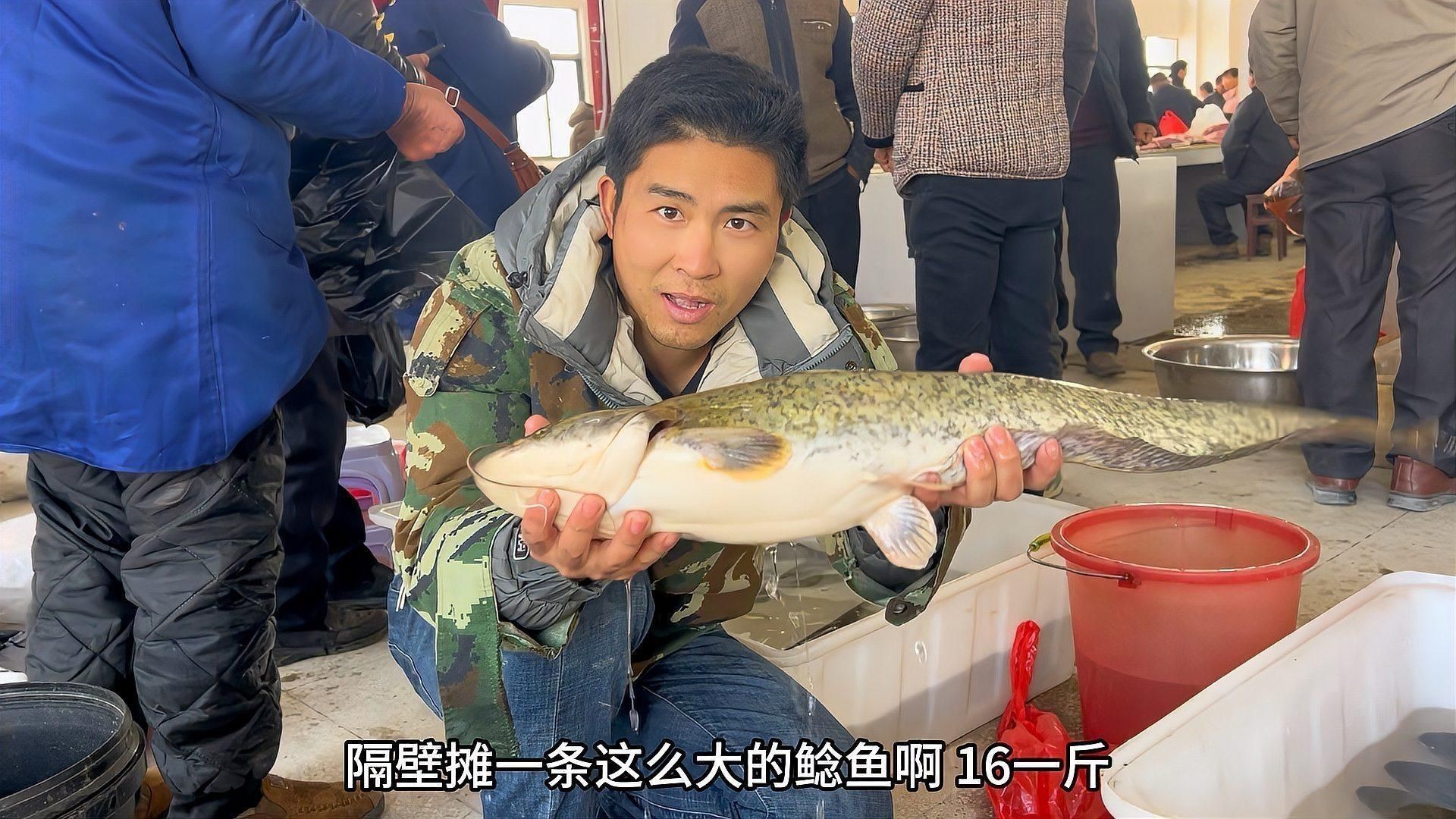 賣魚的利潤(rùn)一般有多少 賣魚的利潤(rùn)一般有多少 龍魚百科 第3張