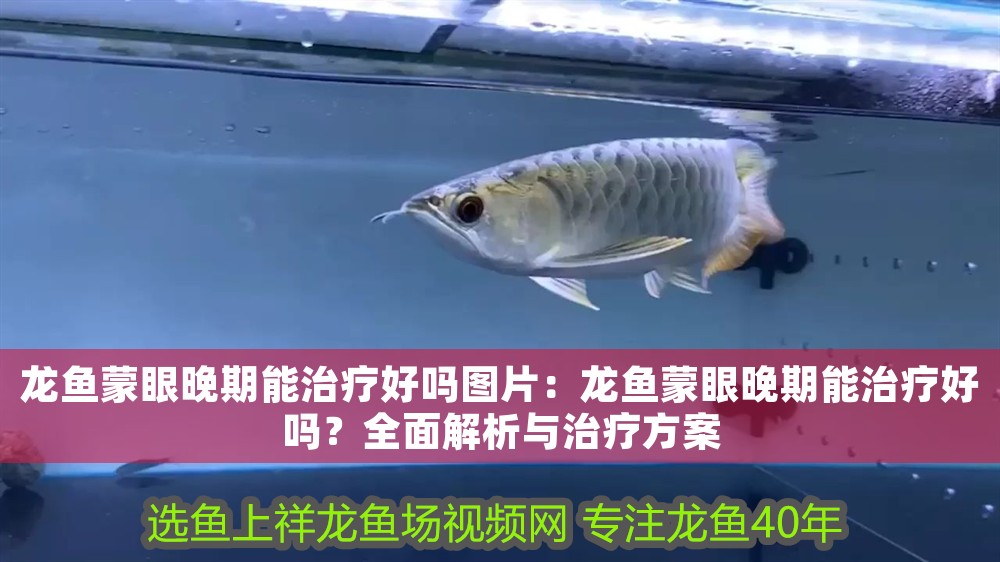 龍魚蒙眼晚期能治療好嗎圖片：龍魚蒙眼晚期能治療好嗎？全面解析與治療方案