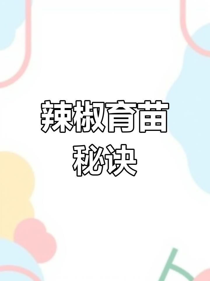 如何育苗紅龍23辣椒？