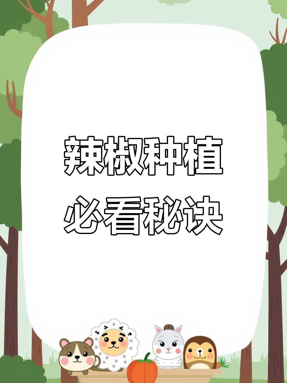 如何育苗紅龍23辣椒？