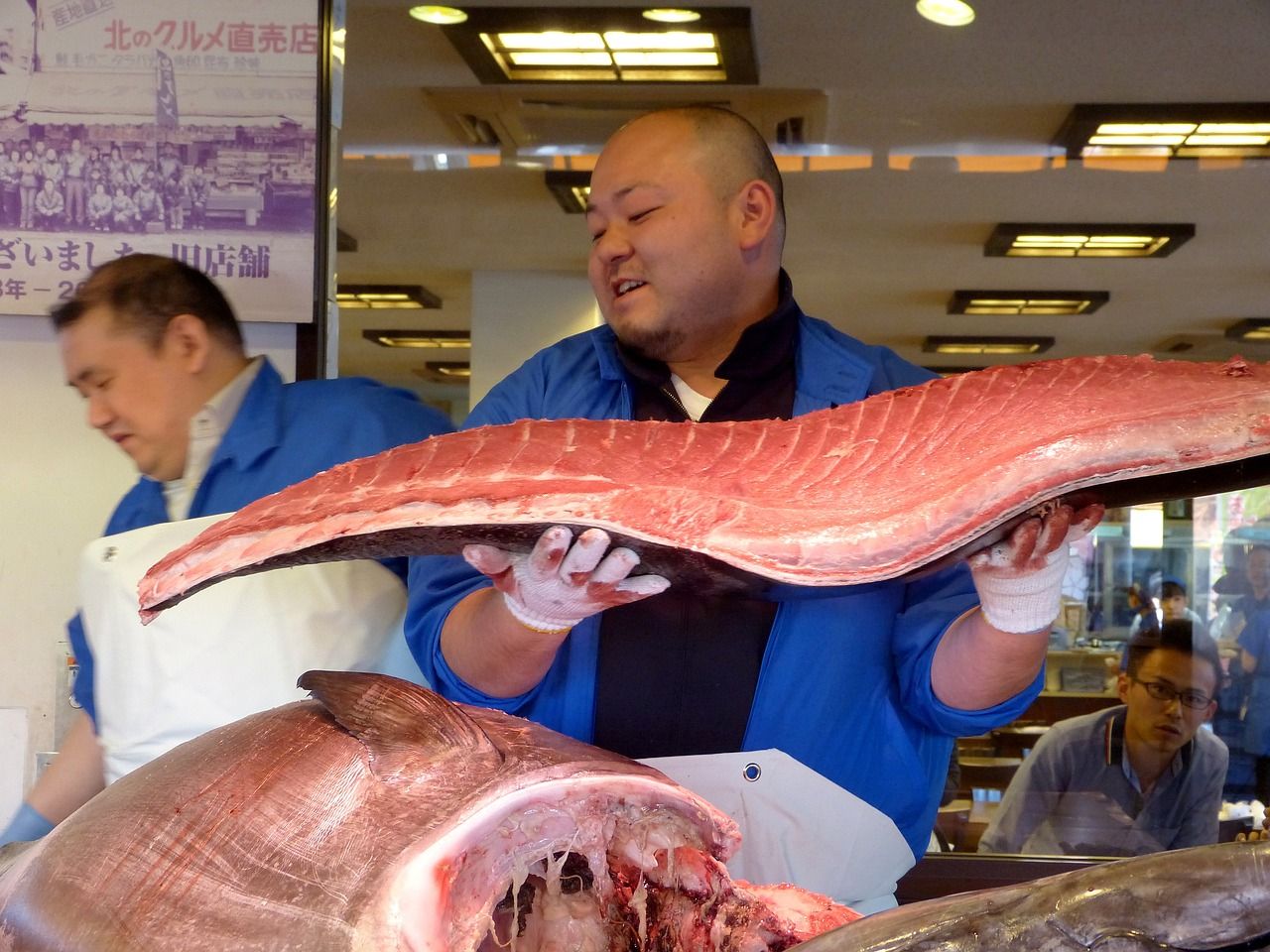魚缸水渾濁的原因改善魚缸水質的方法，魚缸水渾濁怎么變澄清了魚缸水渾濁的原因改善魚缸水質