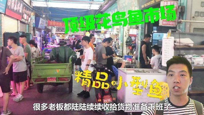 廣州花地灣雷龍魚批發 龍魚百科 第3張 廣州花地灣雷龍魚批發 廣州花地灣雷龍魚批發 龍魚百科 第3張