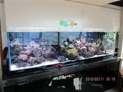 福州魚缸批發市場（福州魚缸批發市場價格）