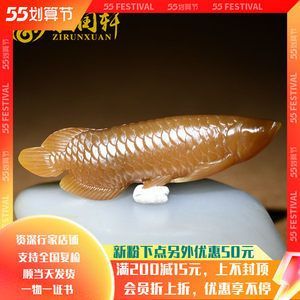 點金龍魚價格貴嗎：點金龍魚價格受到多種因素影響， 點金龍魚價格貴嗎：點金龍魚價格受到多種因素影響， 龍魚百科 第3張