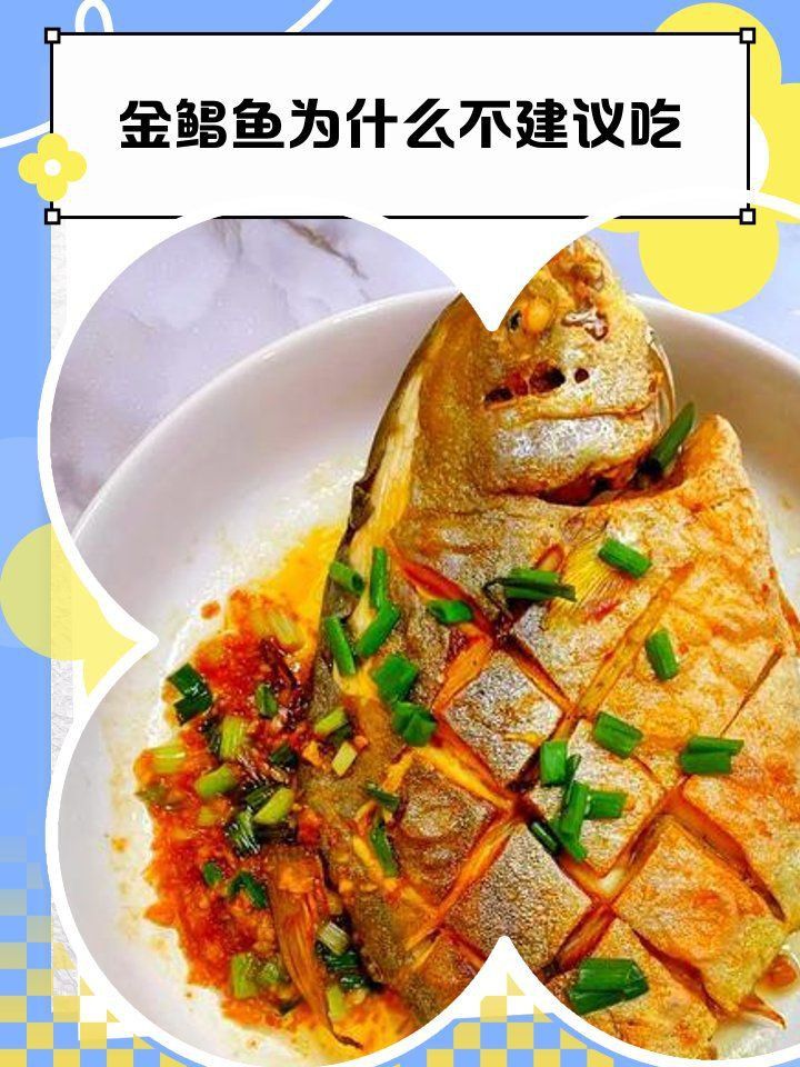金鯧魚為何要盡量少吃