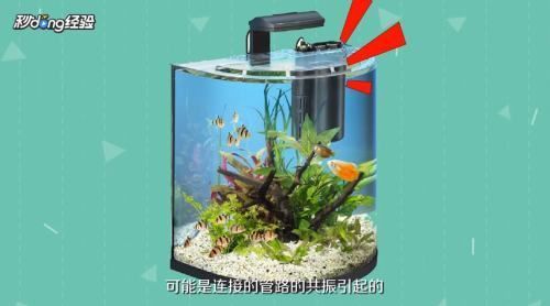 魚缸進氣管聲音大怎么解決