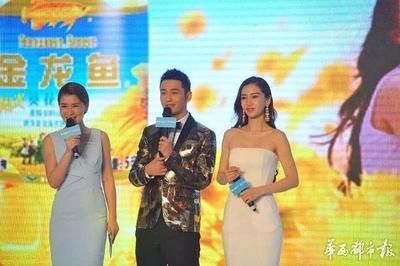金龍魚形象代言人都有誰（金龍魚的一些主要形象代言人）