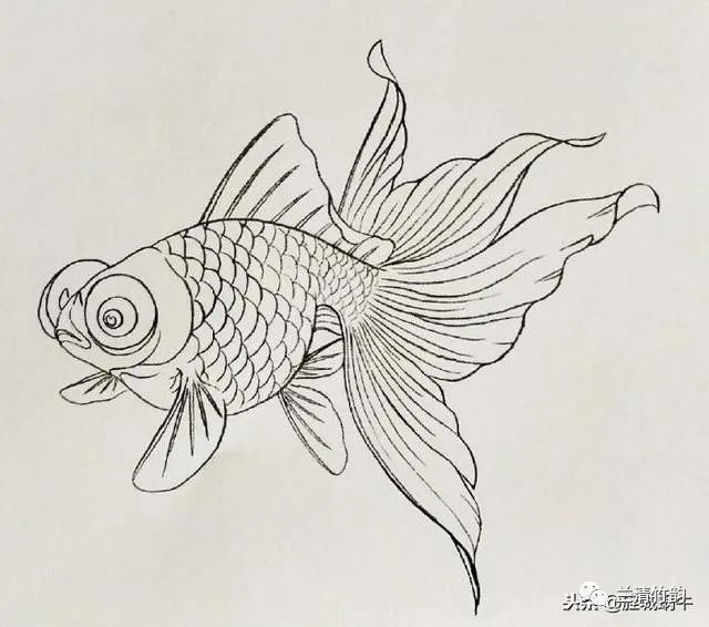 畫金龍魚怎么畫簡(jiǎn)單（畫金龍魚的步驟指南）
