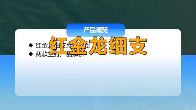 紅金龍電子煙有哪些系列？ 紅金龍電子煙有哪些系列？ 龍魚百科 第3張