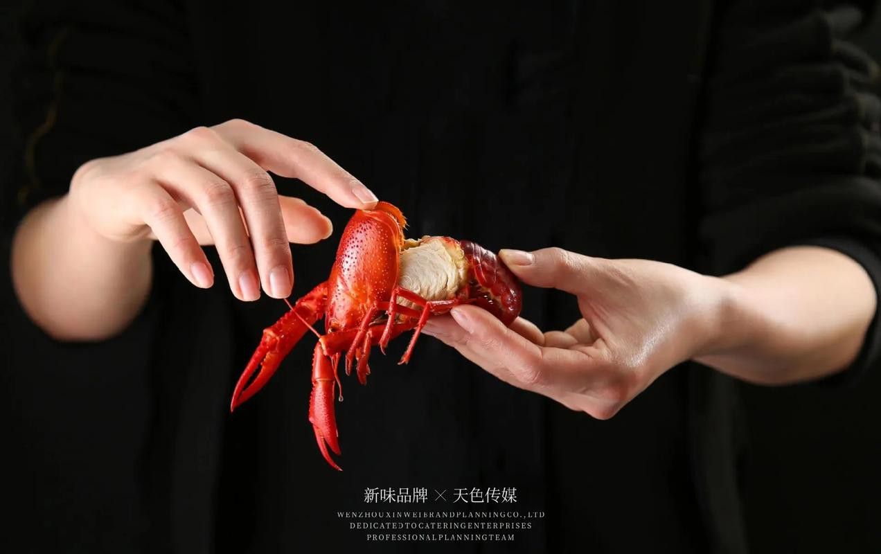 有沒有更多寫實風格的龍蝦圖片？ 有沒有更多寫實風格的龍蝦圖片？ 龍魚百科 第26張