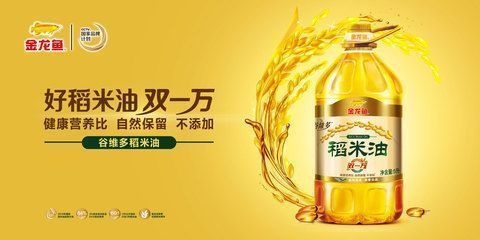 金龍魚宣傳海報實拍，金龍魚品牌影響力分析