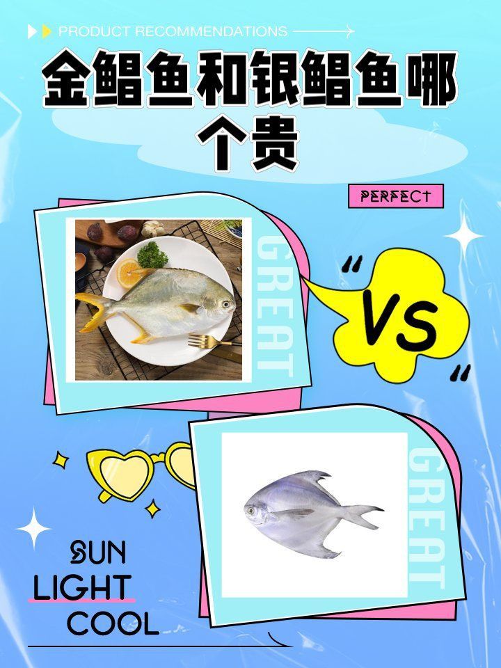 金鯧魚貴還是銀鯧魚貴