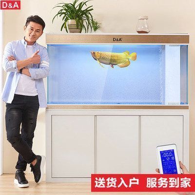 紅龍魚后三鰭怎么養會大（養大紅龍魚后三鰭的方法）