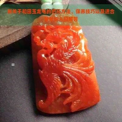 龍龜手把件如何保養(yǎng)？