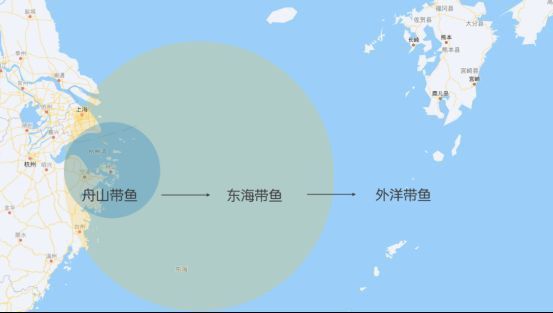 馬來西亞帶魚和<strong><mark>舟山</mark></strong>帶魚的區別