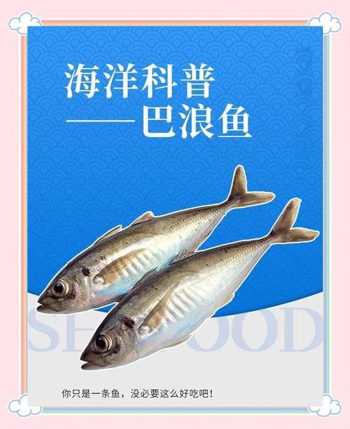 巴龍魚是什么魚圖片大全視頻 巴龍魚是什么魚圖片大全視頻 龍魚百科 第31張