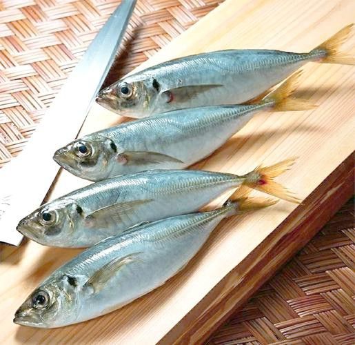 巴龍魚是什么魚圖片大全視頻 巴龍魚是什么魚圖片大全視頻 龍魚百科 第39張