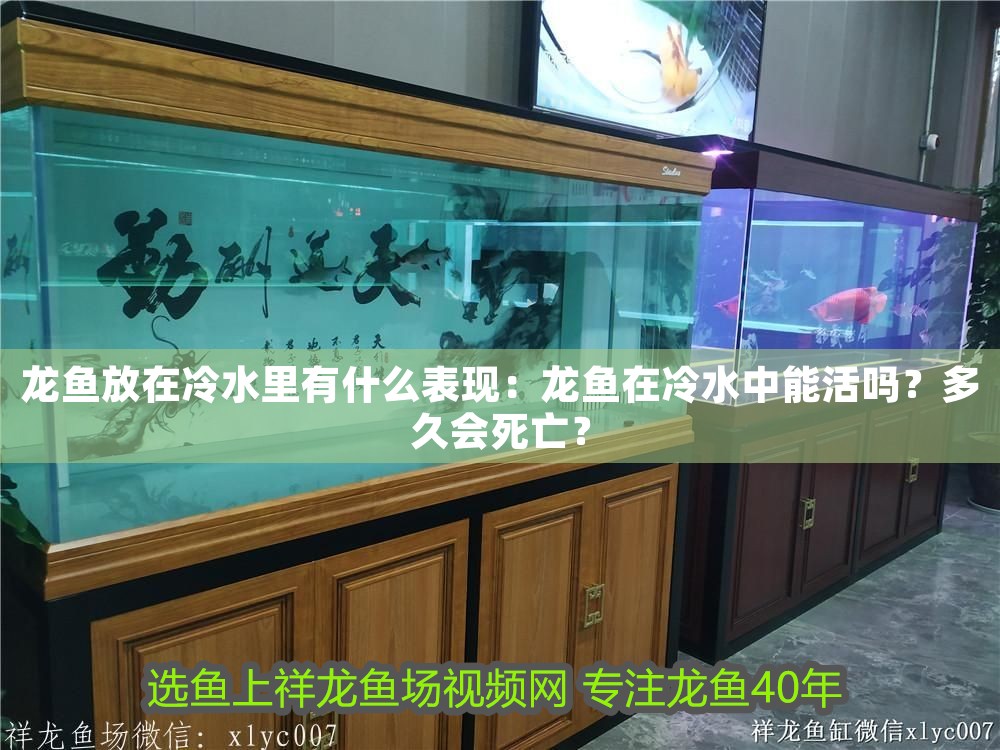 龍魚放在冷水里有什么表現：龍魚在冷水中能活嗎？多久會死亡？