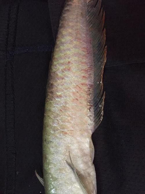 如何結(jié)合視頻教程動態(tài)觀察特征？