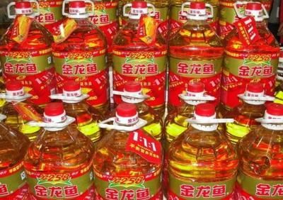 哪里收金龍魚，金龍魚回收渠道 哪里收金龍魚，金龍魚回收渠道 龍魚百科 第5張