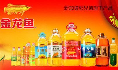 哪里收金龍魚，金龍魚回收渠道 哪里收金龍魚，金龍魚回收渠道 龍魚百科 第3張