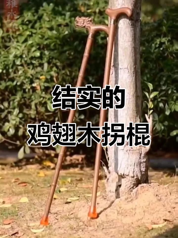 哪種材質(zhì)的龍頭拐杖最耐用？ 哪種材質(zhì)的龍頭拐杖最耐用？ 龍魚百科 第1張